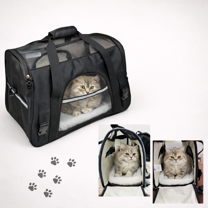 Comfort-Fit Airline Pet Carrier for Cats & Small Dogs