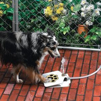 Pet Water Fountain for Dogs – Outdoor Automatic Drinking Station