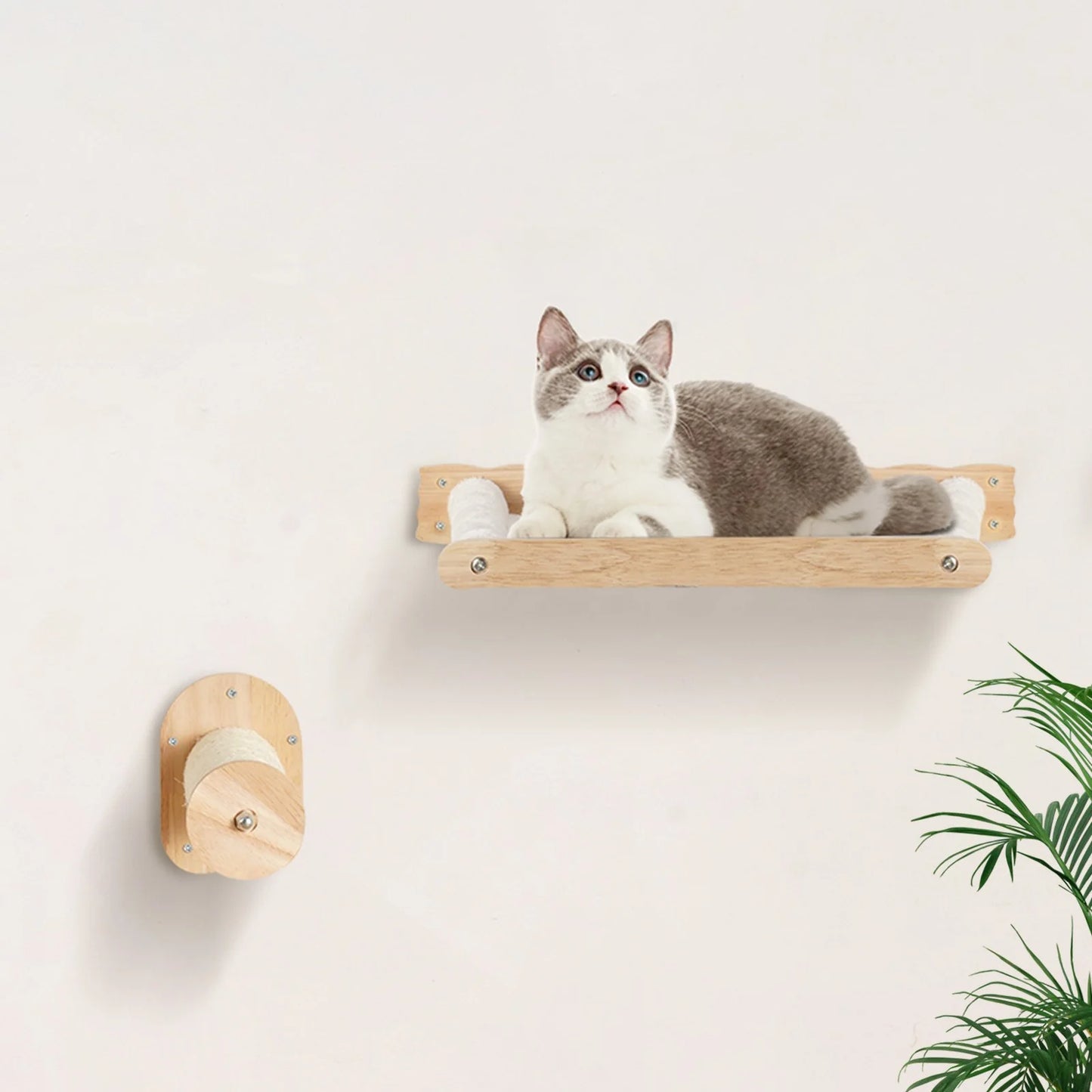Wall-Mounted Cat Shelves – Posts & Hammocks Set