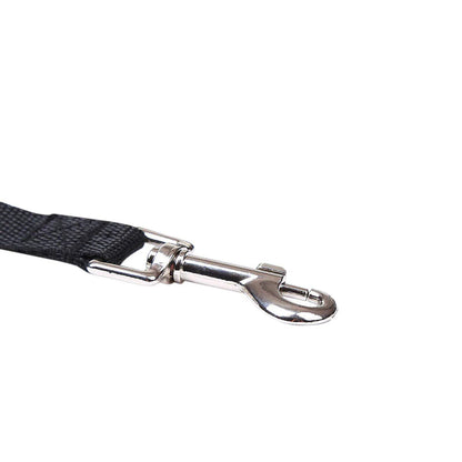 Premium Long Training Dog Leash – Durable Nylon Obedience & Recall Lead (6–100 FT)