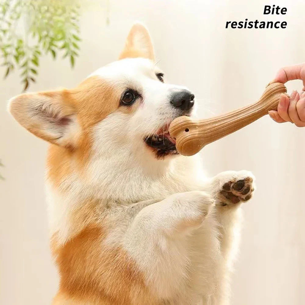 Dog Chew Toy – Bite-Resistant & Durable