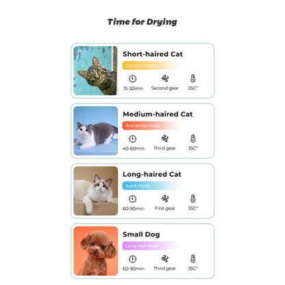 Automatic Pet Dryer Room – Smart Hot & Cool Air Grooming Box for Dogs & Cats (Adjustable Timer & Temperature)
