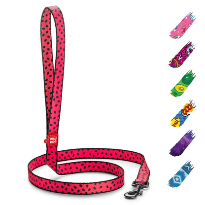 Nylon Dog Leash – Strong & Heavy-Duty