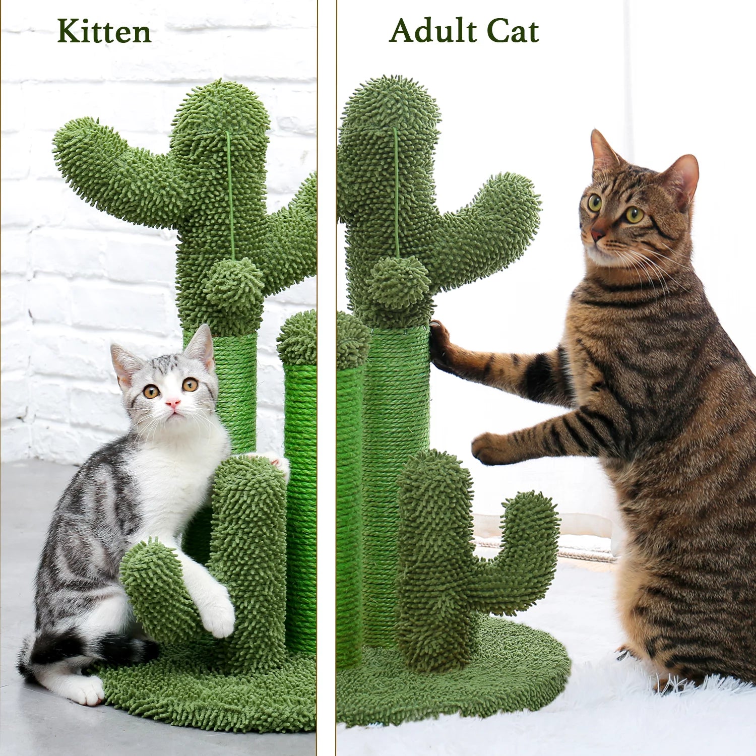 Cactus Cat Scratcher – Sisal Vertical Scratch Post
