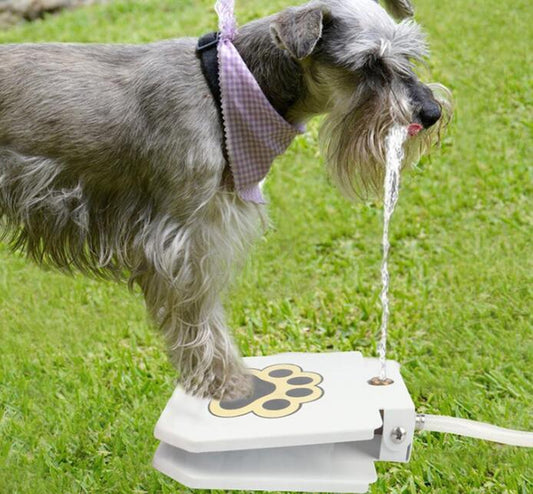 Pet Water Fountain for Dogs – Outdoor Automatic Drinking Station