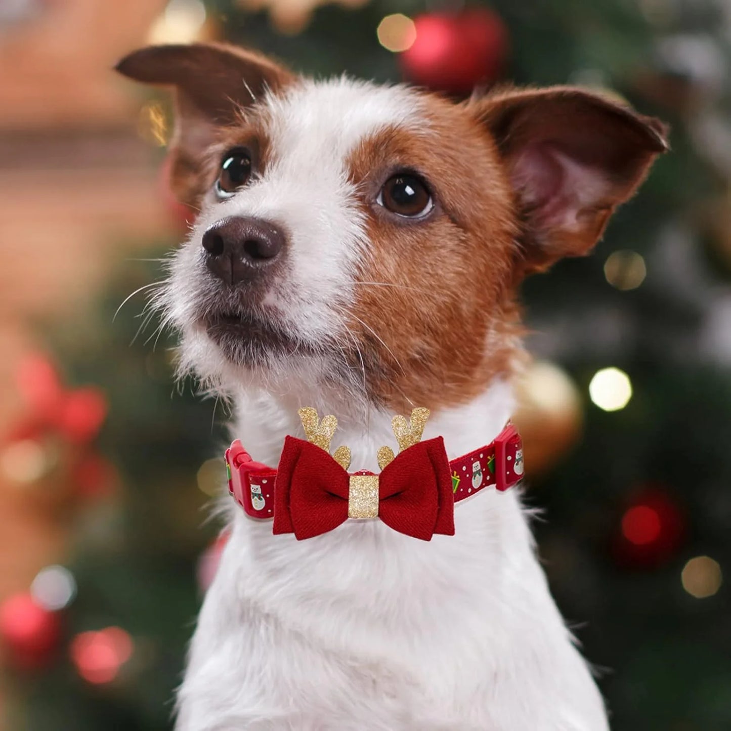 Christmas Dog Collar – Adjustable with Bow Tie