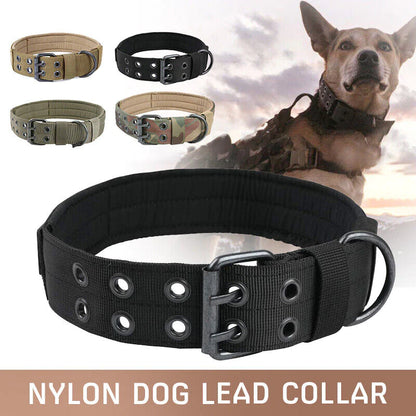 Jack & Susy™ Tactical Heavy-Duty Dog Collar – 2" Wide Military-Grade Nylon with Metal Buckle (K9 Training Collar)